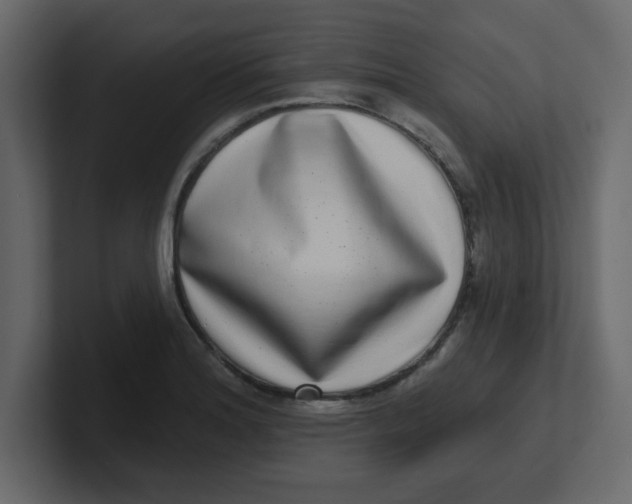 X0000100911180200807151132