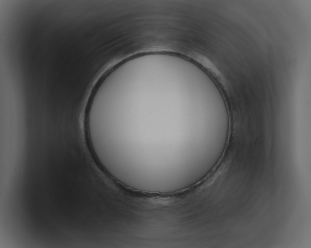 X0000100911181200807151132