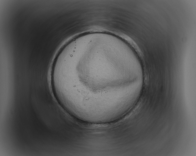 X0000100911183200807151132