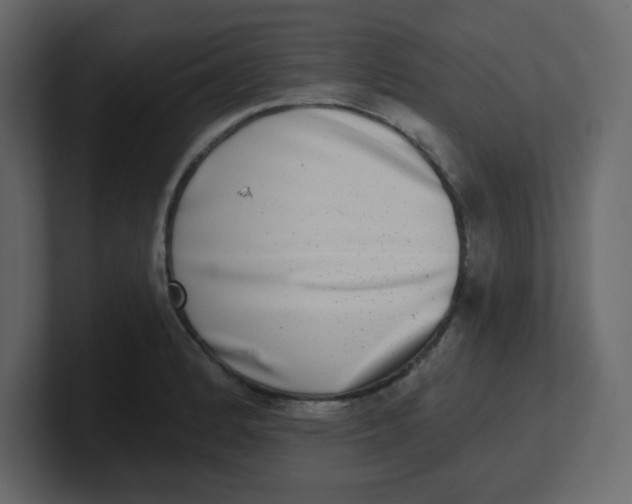 X0000100911184200807151132