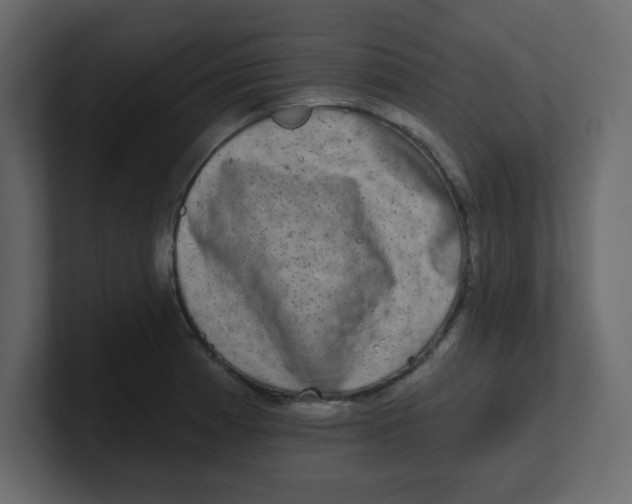 X0000100911185200807151132