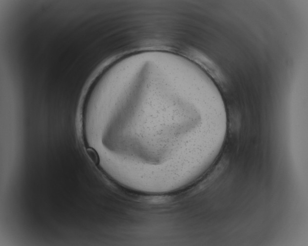 X0000100911188200807151132