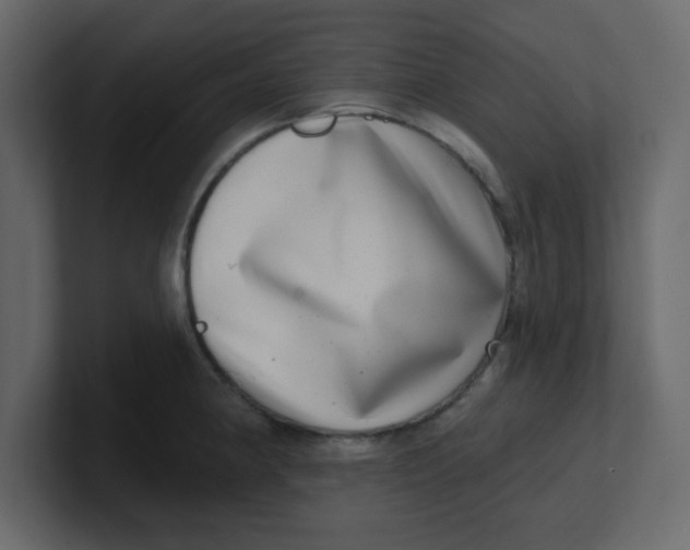 X0000100911190200807151132