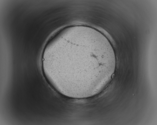 X0000100911191200807151132