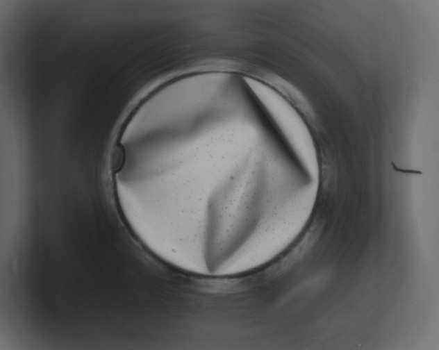 X0000100911192200807151132