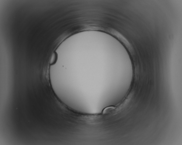 X0000100911193200807151132