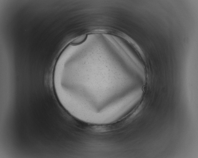 X0000100911194200807151132