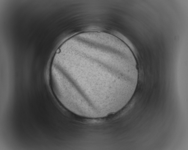 X0000100911195200807151132