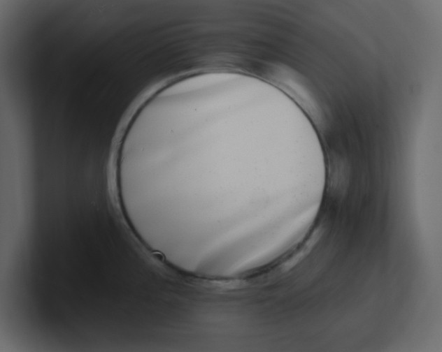 X0000100911196200807151132