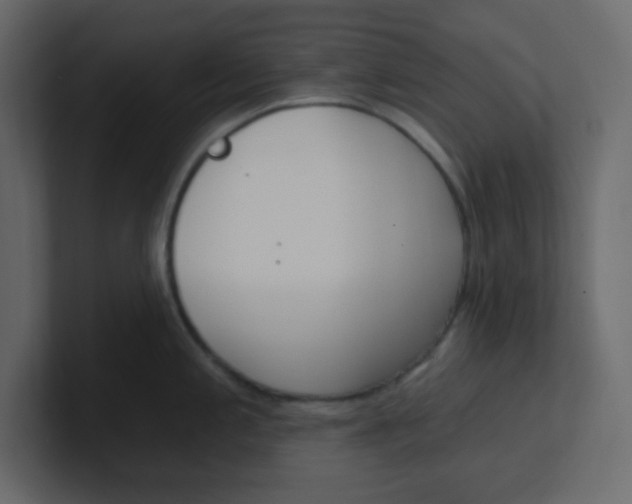 X0000100911197200807151132