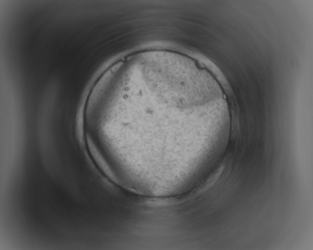 X0000100911199200807151132