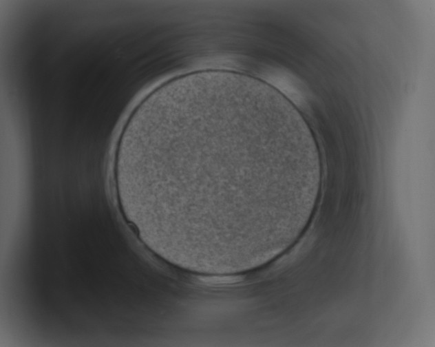 X0000100911200200807151132