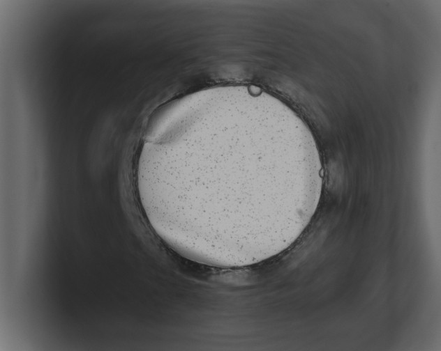 X0000100911201200807151131