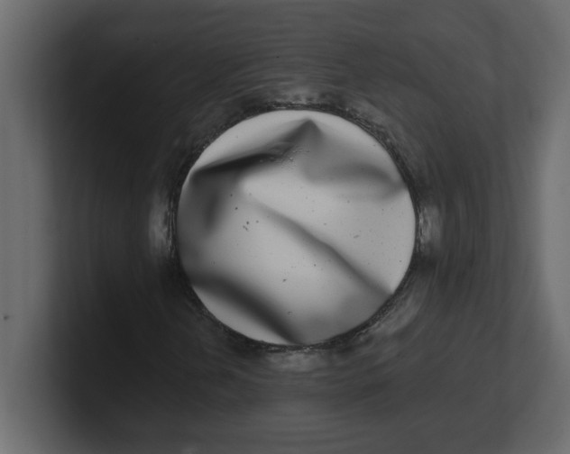 X0000100911202200807151131