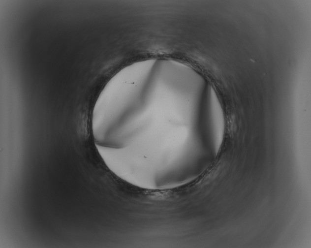 X0000100911205200807151131