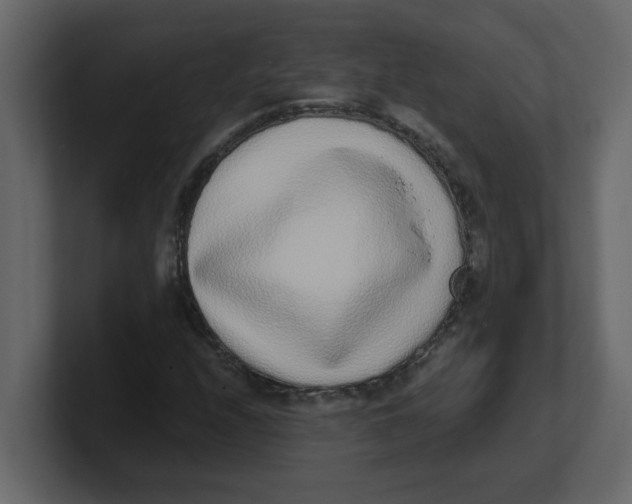 X0000100911208200807151131