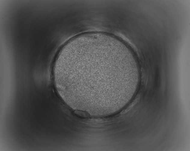 X0000100911215200807151131