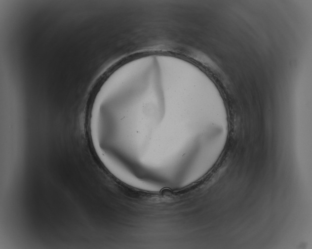 X0000100911216200807151131