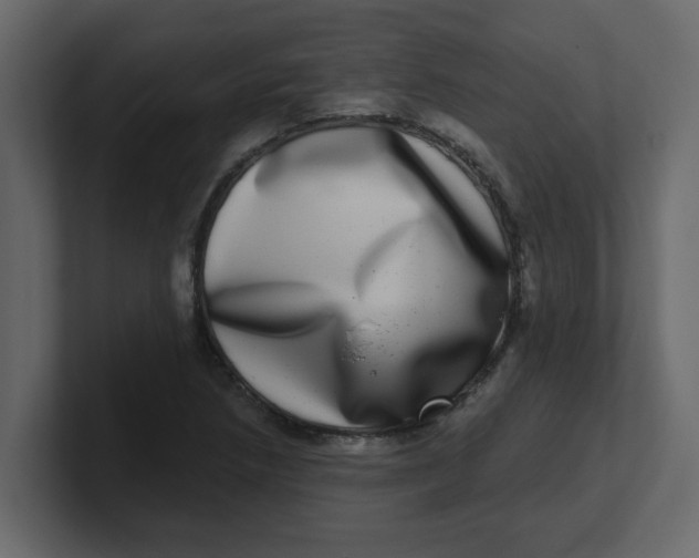 X0000100911218200807151131