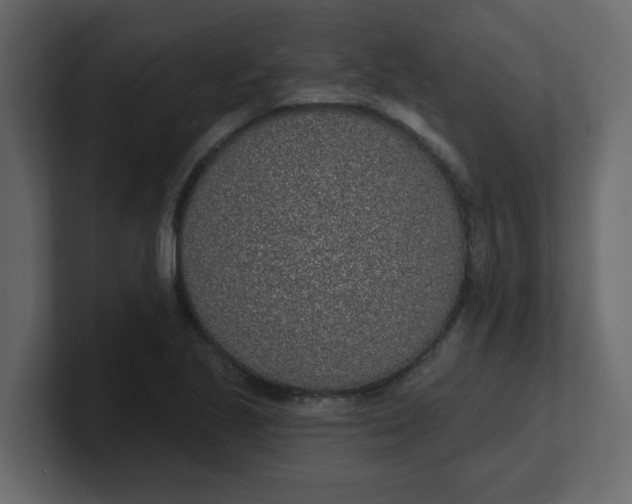 X0000100911221200807151131