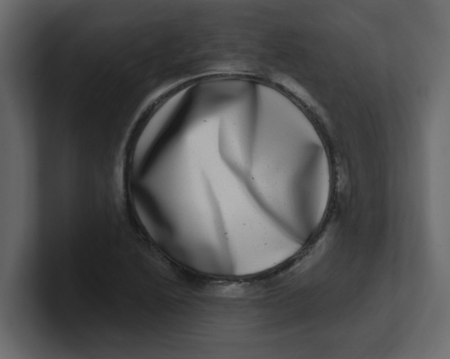 X0000100911222200807151131