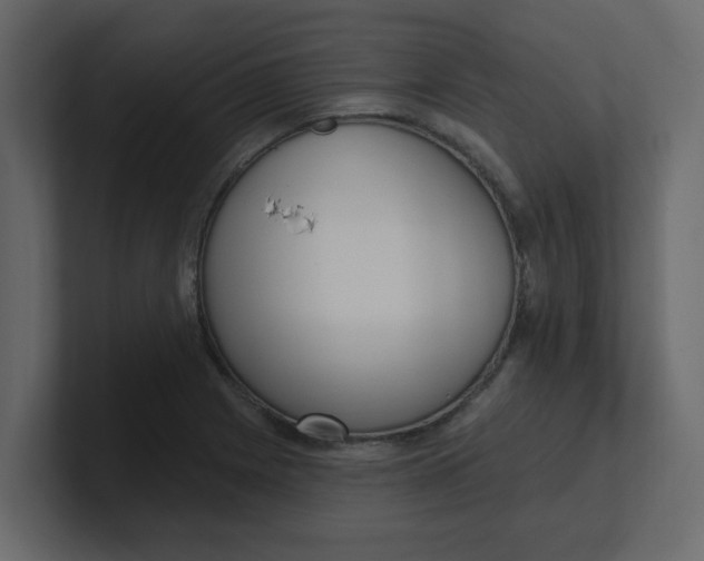 X0000100911225200807151131