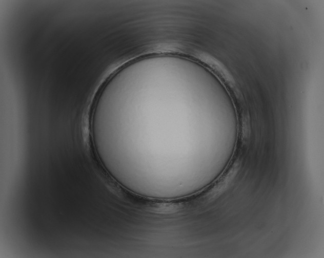 X0000100911226200807151131