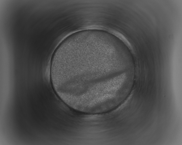 X0000100911228200807151132