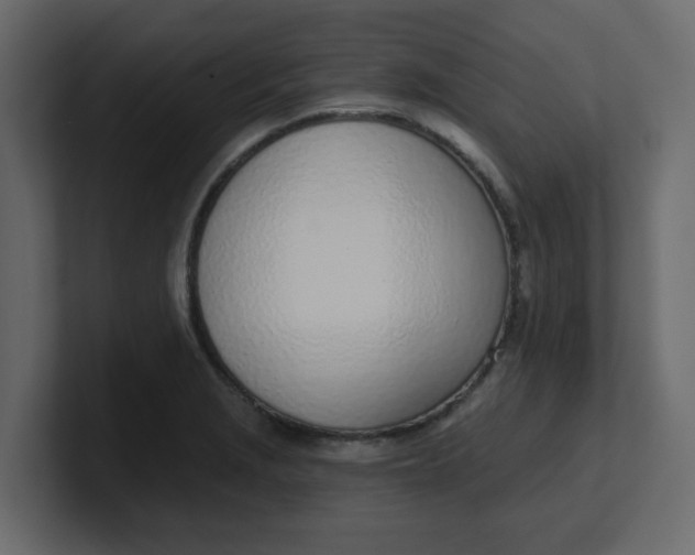 X0000100911229200807151132