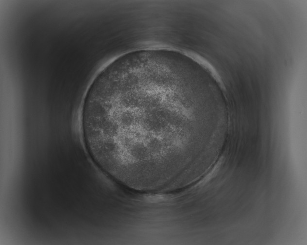 X0000100911231200807151132