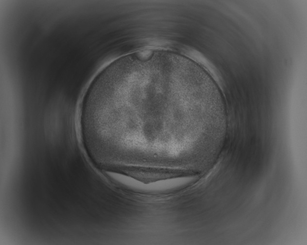 X0000100911235200807151132