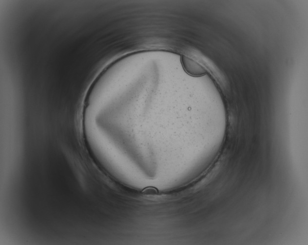 X0000100911236200807151132