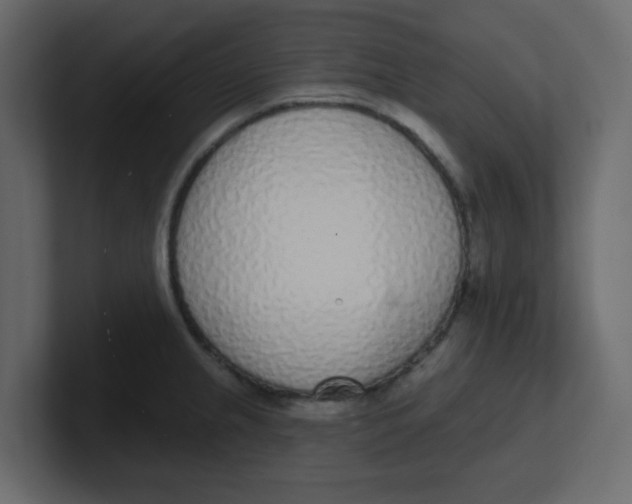 X0000100911237200807151132