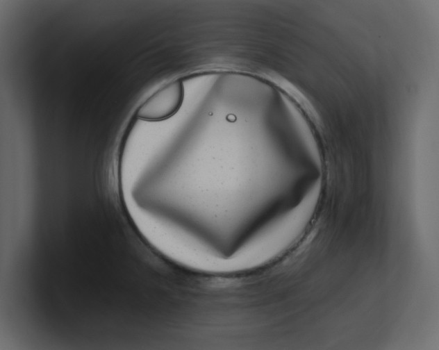 X0000100911238200807151132