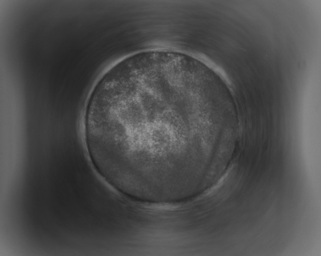 X0000100911239200807151132