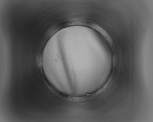 X0000100911241200807151132