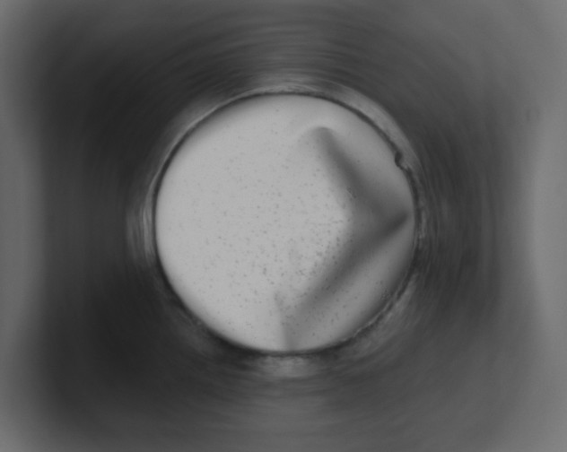 X0000100911242200807151132