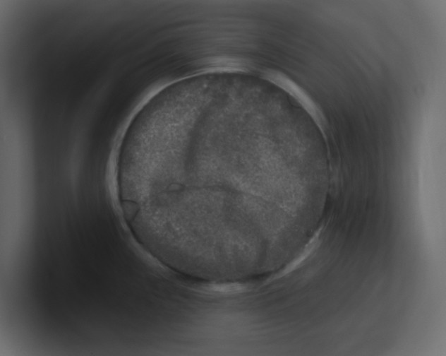 X0000100911243200807151132