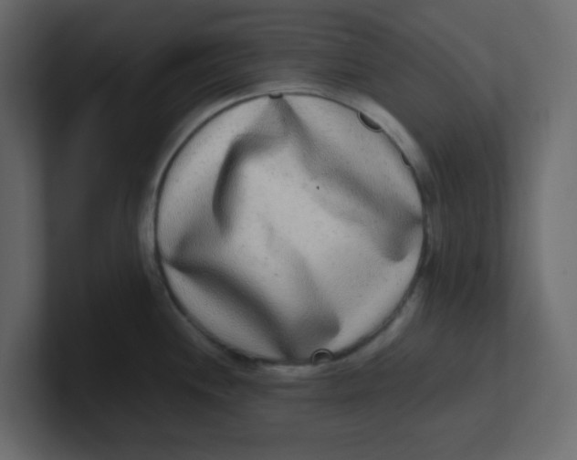 X0000100911244200807151132