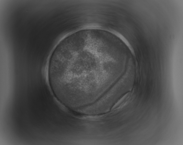 X0000100911245200807151132