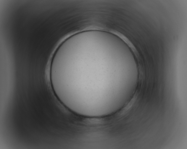 X0000100911246200807151132