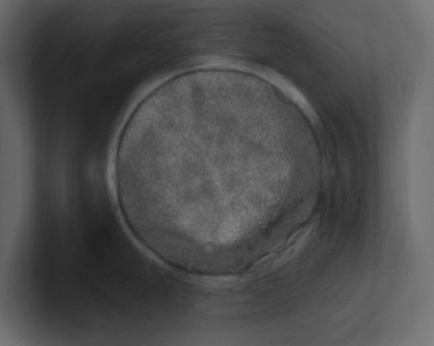 X0000100911247200807151132