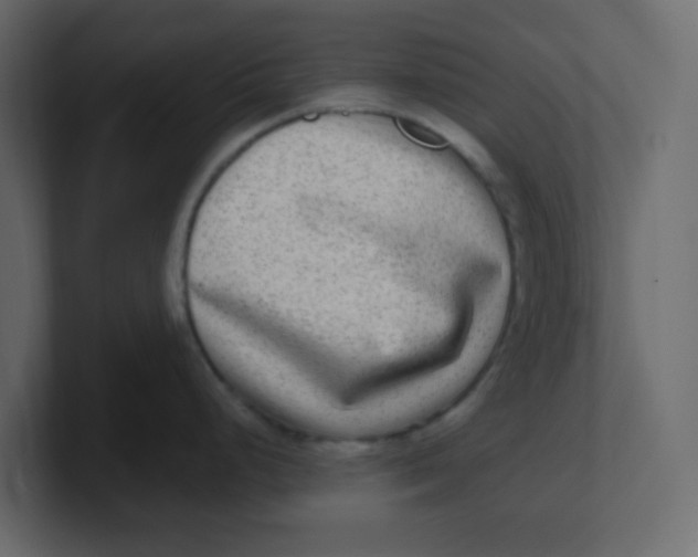 X0000100911248200807151132