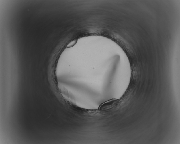 X0000100911249200807151131