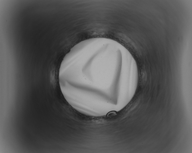 X0000100911250200807151131