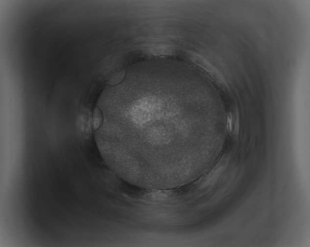 X0000100911251200807151131