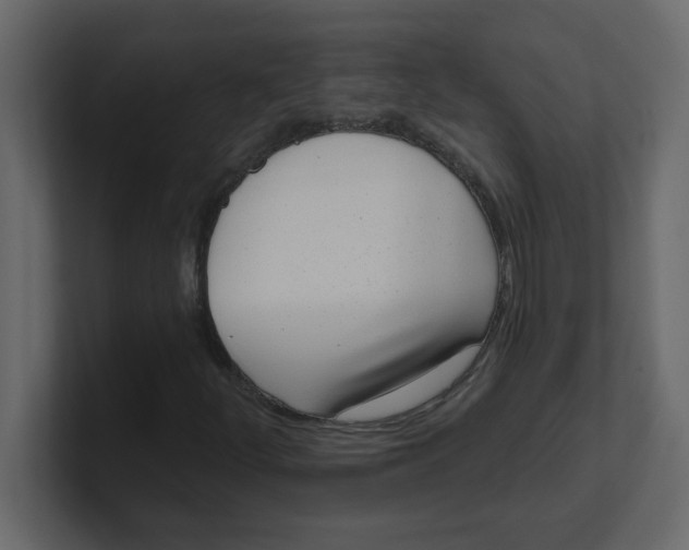 X0000100911252200807151131