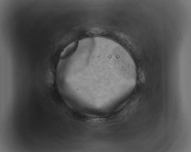 X0000100911253200807151131