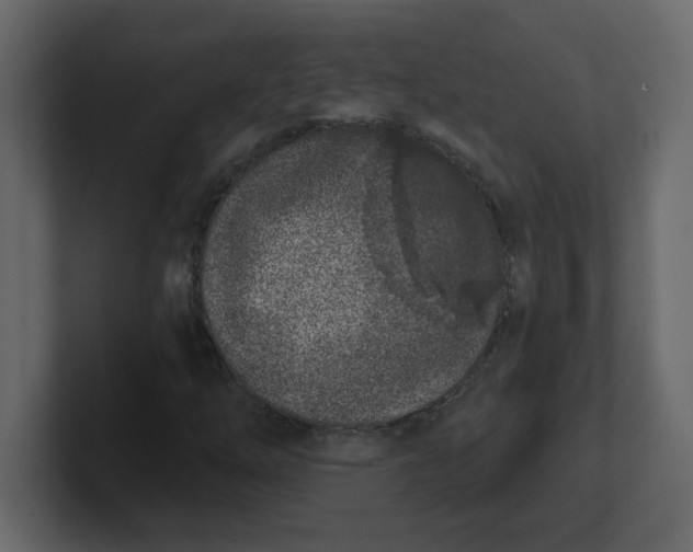 X0000100911254200807151131