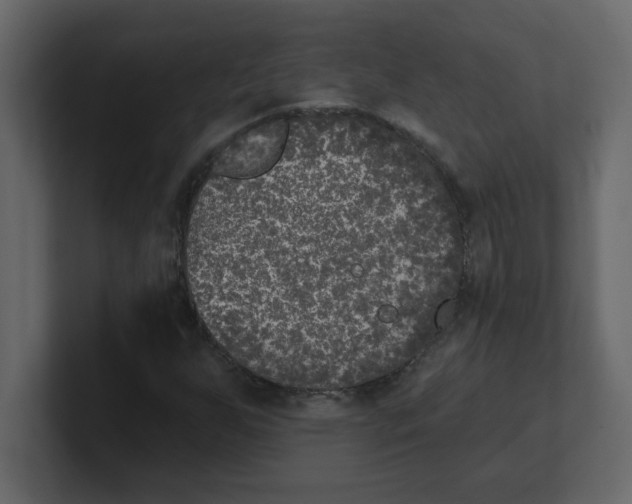 X0000100911255200807151131